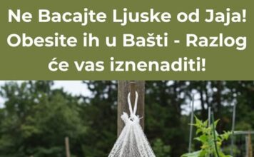 NE BACAJTE LJUSKE OD JAJA – OBEsite IH U BAŠTI I DOGODIĆE SE ČUDO! NE BACAJTE LJUSKE OD JAJA – OBEsite IH U BAŠTI I DOGODIĆE SE ČUDO!