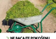 NE BACAJTE POKOŠENU TRAVU DOK OVO NE PROČITATE! PRAVITE VELIKU GREŠKU! NE BACAJTE POKOŠENU TRAVU DOK OVO NE PROČITATE! PRAVITE VELIKU GREŠKU!