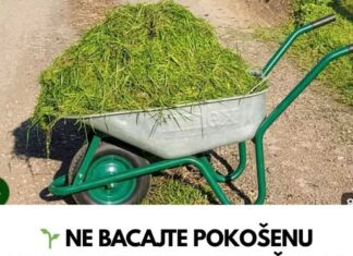 NE BACAJTE POKOŠENU TRAVU DOK OVO NE PROČITATE! PRAVITE VELIKU GREŠKU! NE BACAJTE POKOŠENU TRAVU DOK OVO NE PROČITATE! PRAVITE VELIKU GREŠKU!