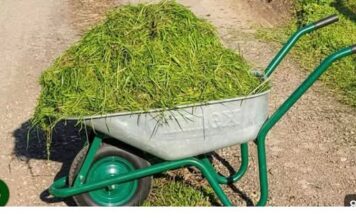 NE BACAJTE POKOŠENU TRAVU DOK OVO NE PROČITATE! PRAVITE VELIKU GREŠKU! NE BACAJTE POKOŠENU TRAVU DOK OVO NE PROČITATE! PRAVITE VELIKU GREŠKU!