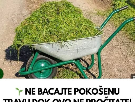 NE BACAJTE POKOŠENU TRAVU DOK OVO NE PROČITATE! PRAVITE VELIKU GREŠKU! NE BACAJTE POKOŠENU TRAVU DOK OVO NE PROČITATE! PRAVITE VELIKU GREŠKU!