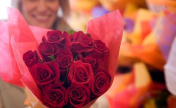 Nije romantika, već hemija: evo kako ruže utiču na vaš mozak Nije romantika, već hemija: evo kako ruže utiču na vaš mozak