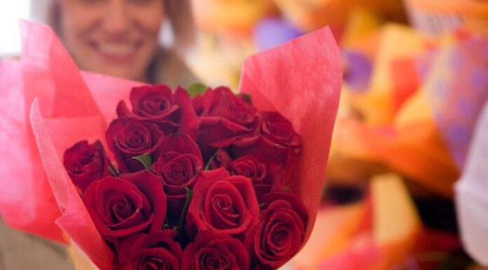 Nije romantika, već hemija: evo kako ruže utiču na vaš mozak Nije romantika, već hemija: evo kako ruže utiču na vaš mozak