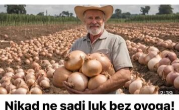 Nikad ne sadi luk bez ovoga! IMAT ĆEŠ REKORDAN PRINOS Nikad ne sadi luk bez ovoga! IMAT ĆEŠ REKORDAN PRINOS