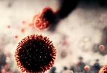 Nova varijanta koronavirusa već u 20+ zemalja: Ovo su simptomi koje ne smijete ignorirati Nova varijanta koronavirusa već u 20+ zemalja: Ovo su simptomi koje ne smijete ignorirati