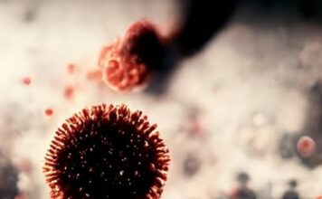 Nova varijanta koronavirusa već u 20+ zemalja: Ovo su simptomi koje ne smijete ignorirati Nova varijanta koronavirusa već u 20+ zemalja: Ovo su simptomi koje ne smijete ignorirati