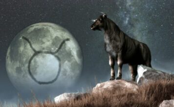 Ova tri znaka do sredine 2026. Godine plivaće u parama, otkriva čuvena tamara globa Ova tri znaka do sredine 2026. Godine plivaće u parama, otkriva čuvena tamara globa