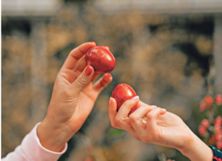 Ovo cveće obavezno treba uneti u kuću pre Vaskrsa: Veruje se da donosi sreću i napredak Ovo cveće obavezno treba uneti u kuću pre Vaskrsa: Veruje se da donosi sreću i napredak