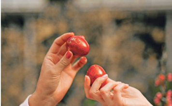 Ovo cveće obavezno treba uneti u kuću pre Vaskrsa: Veruje se da donosi sreću i napredak Ovo cveće obavezno treba uneti u kuću pre Vaskrsa: Veruje se da donosi sreću i napredak