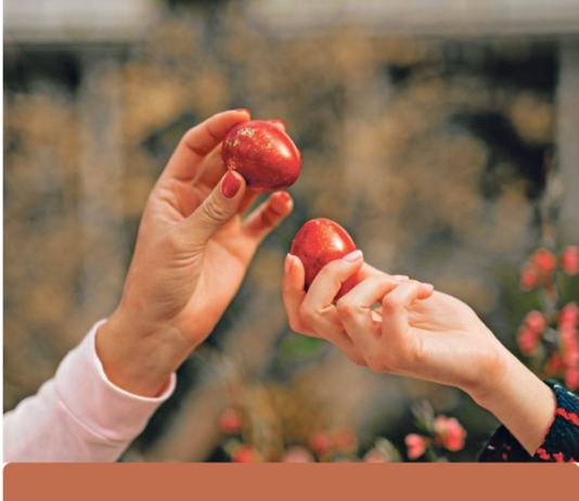 Ovo cveće obavezno treba uneti u kuću pre Vaskrsa: Veruje se da donosi sreću i napredak Ovo cveće obavezno treba uneti u kuću pre Vaskrsa: Veruje se da donosi sreću i napredak