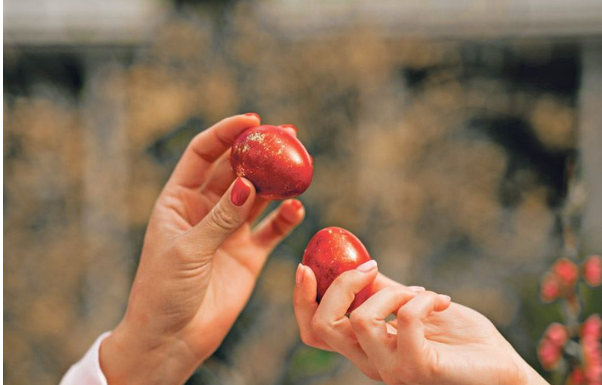Ovo cveće obavezno treba uneti u kuću pre Vaskrsa: Veruje se da donosi sreću i napredak Ovo cveće obavezno treba uneti u kuću pre Vaskrsa: Veruje se da donosi sreću i napredak