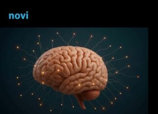 Ovo su 4 mentalno najsnažnija znaka horoskopa: Um im je jači od čelika Ovo su 4 mentalno najsnažnija znaka horoskopa: Um im je jači od čelika