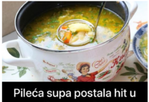 Pileća supa postala hit u svijetu u borbi sa prehladom: Naše bake su oduvijek znale, samo jedan sastojak je ključan u ovom jelu Pileća supa postala hit u svijetu u borbi sa prehladom: Naše bake su oduvijek znale, samo jedan sastojak je ključan u ovom jelu