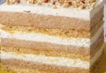 PLAZMA TORTA (SA KORAMA I KREM ŠLAGOM OD VANILE) – Stara dobra plazma torta koja uvek uspe… PLAZMA TORTA (SA KORAMA I KREM ŠLAGOM OD VANILE) – Stara dobra plazma torta koja uvek uspe…