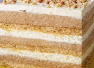 PLAZMA TORTA (SA KORAMA I KREM ŠLAGOM OD VANILE) – Stara dobra plazma torta koja uvek uspe… PLAZMA TORTA (SA KORAMA I KREM ŠLAGOM OD VANILE) – Stara dobra plazma torta koja uvek uspe…