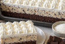 POSNA TORTA SA KOKOSOM I ČOKOLADOM – kremasta i bez pečenja! POSNA TORTA SA KOKOSOM I ČOKOLADOM – kremasta i bez pečenja!