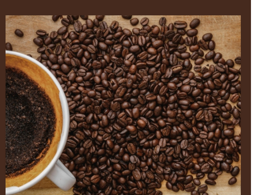 Pospite talog od kafe oko kuće i riješit ćete se velikog problema Pospite talog od kafe oko kuće i riješit ćete se velikog problema