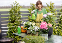 Prolećno uređenje bašte i terase Prolećno uređenje bašte i terase