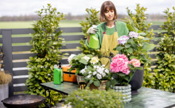 Prolećno uređenje bašte i terase Prolećno uređenje bašte i terase