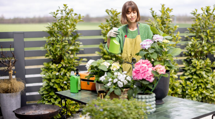 Prolećno uređenje bašte i terase Prolećno uređenje bašte i terase