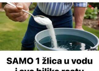 SAMO 1 žlica u vodu i sve biljke rastu dvostruko brže SAMO 1 žlica u vodu i sve biljke rastu dvostruko brže