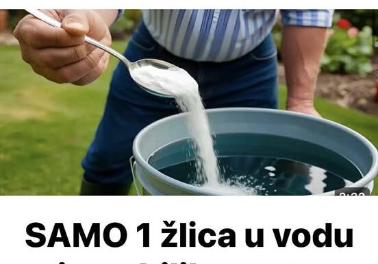 SAMO 1 žlica u vodu i sve biljke rastu dvostruko brže SAMO 1 žlica u vodu i sve biljke rastu dvostruko brže