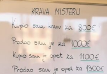 Samo za one sa visokim IQ: Zadatak sa kravom raspametio je sve, da li vi znate tačan odgovor? Samo za one sa visokim IQ: Zadatak sa kravom raspametio je sve, da li vi znate tačan odgovor?