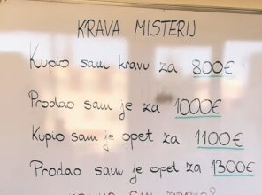 Samo za one sa visokim IQ: Zadatak sa kravom raspametio je sve, da li vi znate tačan odgovor? Samo za one sa visokim IQ: Zadatak sa kravom raspametio je sve, da li vi znate tačan odgovor?