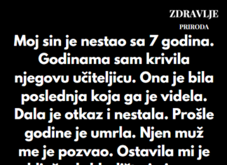 “Šest godina sam krivila učiteljicu svog sina, gospođu Alder, za dan kada je nestao sa 7 godina” “Šest godina sam krivila učiteljicu svog sina, gospođu Alder, za dan kada je nestao sa 7 godina”