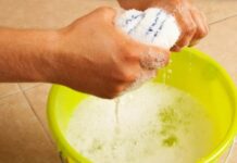 STAVITE KAP OVE TEČNOSTI U VODU I PREBRIŠITE KUĆU: 10dana nećete videti prašinu – TRIK KOJI SE KORISTI U MUZEJU STAVITE KAP OVE TEČNOSTI U VODU I PREBRIŠITE KUĆU: 10dana nećete videti prašinu – TRIK KOJI SE KORISTI U MUZEJU