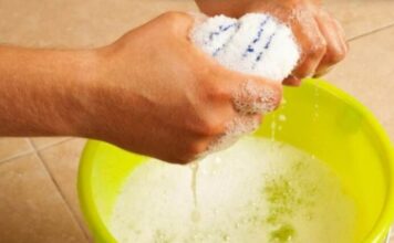 STAVITE KAP OVE TEČNOSTI U VODU I PREBRIŠITE KUĆU: 10dana nećete videti prašinu – TRIK KOJI SE KORISTI U MUZEJU STAVITE KAP OVE TEČNOSTI U VODU I PREBRIŠITE KUĆU: 10dana nećete videti prašinu – TRIK KOJI SE KORISTI U MUZEJU