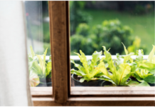 Stručnjaci mole ljude da danas stave cimet na prozorsku dasku, bit ćete zahvalni Stručnjaci mole ljude da danas stave cimet na prozorsku dasku, bit ćete zahvalni