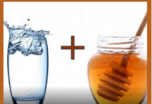 STRUČNJAK OTKRIO KADA JE NAJBOLJE DA POJEDETE MED: U ovo DOBA DANA je INFUZIJA ZA ZDRAVLJE, popravlja i JETRU STRUČNJAK OTKRIO KADA JE NAJBOLJE DA POJEDETE MED: U ovo DOBA DANA je INFUZIJA ZA ZDRAVLJE, popravlja i JETRU