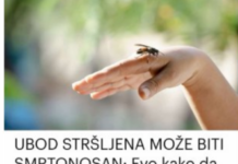 UBOD STRŠLJENA MOŽE BITI SMRTONOSAN: Evo kako da spasite život sebi ili nekom drugom, važno je reagovati odmah UBOD STRŠLJENA MOŽE BITI SMRTONOSAN: Evo kako da spasite život sebi ili nekom drugom, važno je reagovati odmah