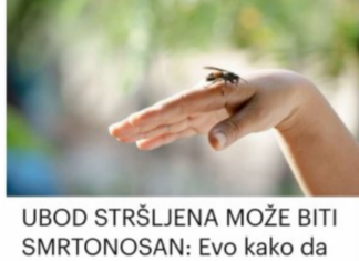 UBOD STRŠLJENA MOŽE BITI SMRTONOSAN: Evo kako da spasite život sebi ili nekom drugom, važno je reagovati odmah UBOD STRŠLJENA MOŽE BITI SMRTONOSAN: Evo kako da spasite život sebi ili nekom drugom, važno je reagovati odmah