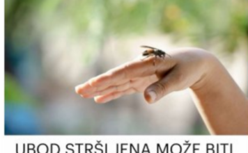 UBOD STRŠLJENA MOŽE BITI SMRTONOSAN: Evo kako da spasite život sebi ili nekom drugom, važno je reagovati odmah UBOD STRŠLJENA MOŽE BITI SMRTONOSAN: Evo kako da spasite život sebi ili nekom drugom, važno je reagovati odmah