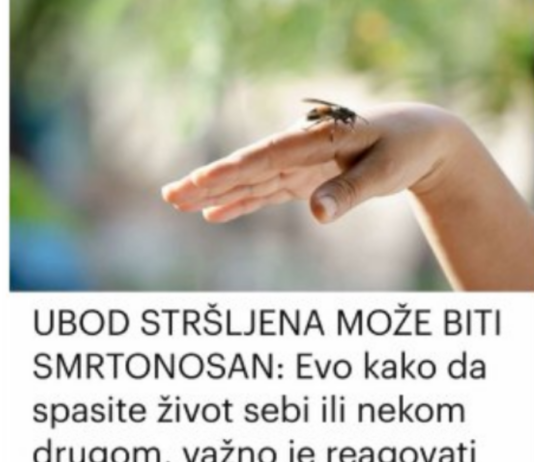 UBOD STRŠLJENA MOŽE BITI SMRTONOSAN: Evo kako da spasite život sebi ili nekom drugom, važno je reagovati odmah UBOD STRŠLJENA MOŽE BITI SMRTONOSAN: Evo kako da spasite život sebi ili nekom drugom, važno je reagovati odmah