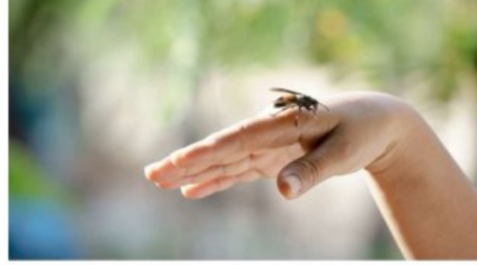 UBOD STRŠLJENA MOŽE BITI SMRTONOSAN: Evo kako da spasite život sebi ili nekom drugom, važno je reagovati odmah UBOD STRŠLJENA MOŽE BITI SMRTONOSAN: Evo kako da spasite život sebi ili nekom drugom, važno je reagovati odmah