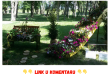 Već od danas stavite staru šolju u baštu i vrt, napravićete ogromnu promenu Već od danas stavite staru šolju u baštu i vrt, napravićete ogromnu promenu