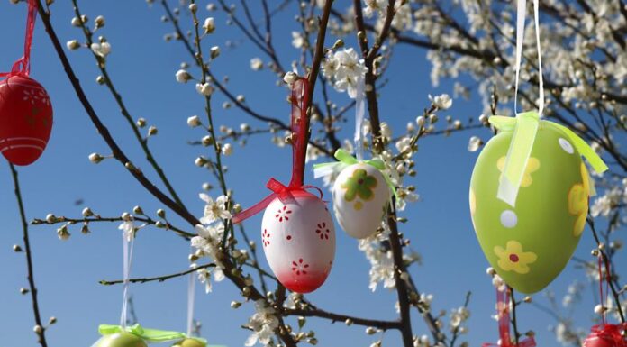 Veliki Petak je najtužniji dan u godini: Evo šta znači kada je danas vedro i sunčano Veliki Petak je najtužniji dan u godini: Evo šta znači kada je danas vedro i sunčano