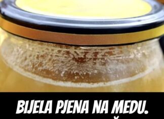 BIJELA PJENA na medu. Malo ljudi zna šta to zaista znači! BIJELA PJENA na medu. Malo ljudi zna šta to zaista znači!