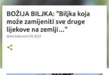 BOŽIJA BILJKA: “Biljka koja može zamijeniti sve druge lijekove na zemlji…” BOŽIJA BILJKA: “Biljka koja može zamijeniti sve druge lijekove na zemlji…”