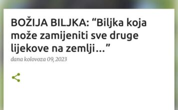 BOŽIJA BILJKA: “Biljka koja može zamijeniti sve druge lijekove na zemlji…” BOŽIJA BILJKA: “Biljka koja može zamijeniti sve druge lijekove na zemlji…”