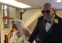 Ćerka profesionalnog boksera “Kralja Cigana” se udala sa 16 godina za očevu kopiju: Prošetala oltarom u kroks papučama i šlepom dugim 15 metara Ćerka profesionalnog boksera "Kralja Cigana" se udala sa 16 godina za očevu kopiju: Prošetala oltarom u kroks papučama i šlepom dugim 15 metara