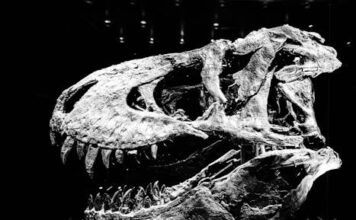 Dino Merlin napokon progovorio, ukraIa mi je pjesmu: Otkrio kakvu goIgotu je prolazio, zvijeri, molio sam ih da stanu! “Ceca i njen partner su me jedne noći..” Dino Merlin napokon progovorio, ukraIa mi je pjesmu: Otkrio kakvu goIgotu je prolazio, zvijeri, molio sam ih da stanu! “Ceca i njen partner su me jedne noći..”
