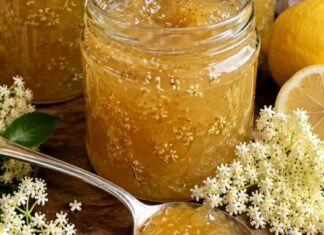 DOMAĆI DŽEM OD ZOVE – recept je iz davne 1867. godine! DOMAĆI DŽEM OD ZOVE – recept je iz davne 1867. godine!