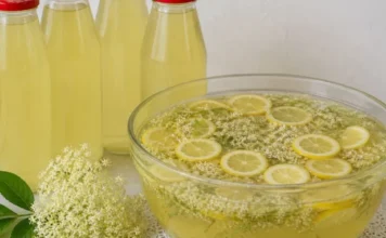 Domaći sirup od zove – mirisan letnji sok koji se razblažuje vodom Domaći sirup od zove – mirisan letnji sok koji se razblažuje vodom