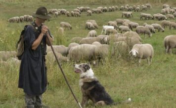 Kad je Bojan iz Novog Sela nestao u šumi porodica mu palila sveće za pokoj duše: Nakon 10 godina se pojavljuje živ i šokira pričom Kad je Bojan iz Novog Sela nestao u šumi porodica mu palila sveće za pokoj duše: Nakon 10 godina se pojavljuje živ i šokira pričom