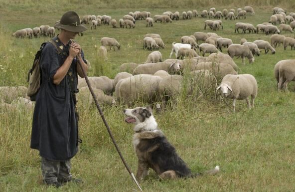 Kad je Bojan iz Novog Sela nestao u šumi porodica mu palila sveće za pokoj duše: Nakon 10 godina se pojavljuje živ i šokira pričom Kad je Bojan iz Novog Sela nestao u šumi porodica mu palila sveće za pokoj duše: Nakon 10 godina se pojavljuje živ i šokira pričom