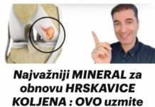 Ključni MINERAL za regeneraciju KOLJENSKE HRSKAVICE: Ovaj suplement uzimajte svakodnevno! Ključni MINERAL za regeneraciju KOLJENSKE HRSKAVICE: Ovaj suplement uzimajte svakodnevno!